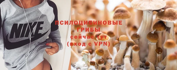 мет Медвежьегорск
