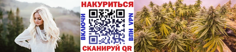 гидра как войти  Камызяк  Конопля SATIVA & INDICA 